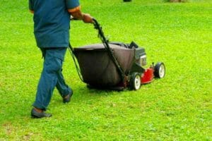 Lawn service mowing lawn after aeration