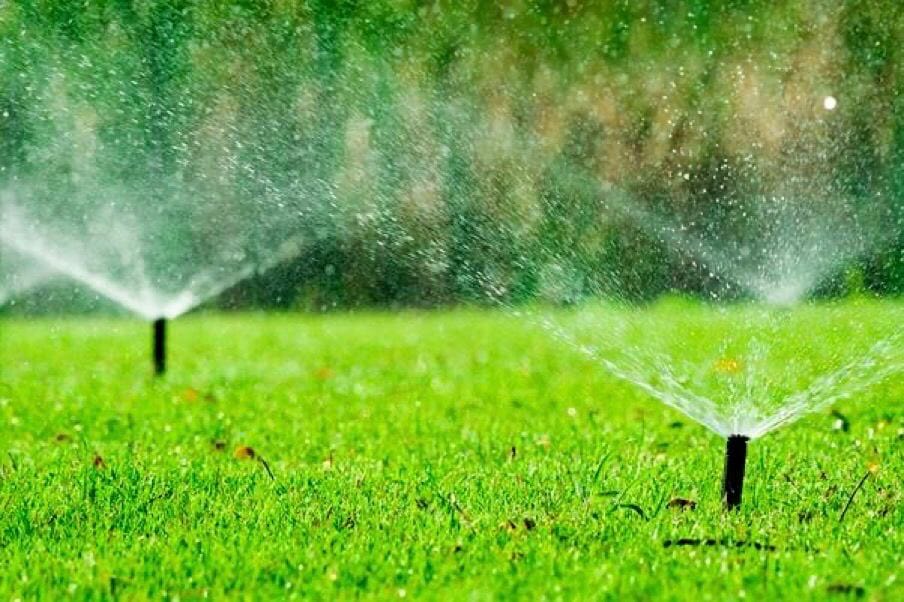 Watering lawn after mowing service