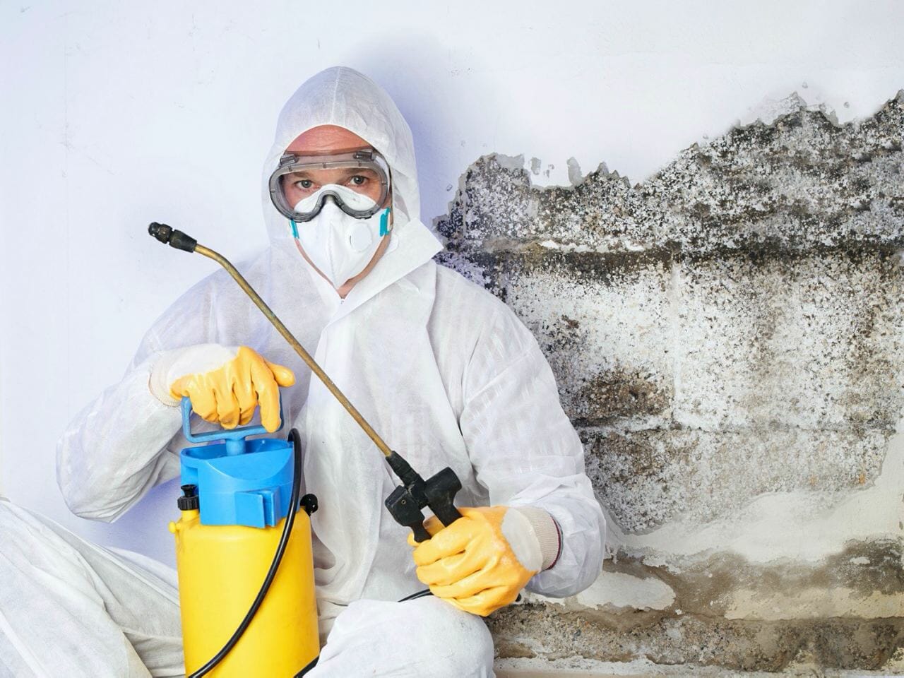 How long does mold removal take?