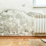 Home with mold on wall may not be safe