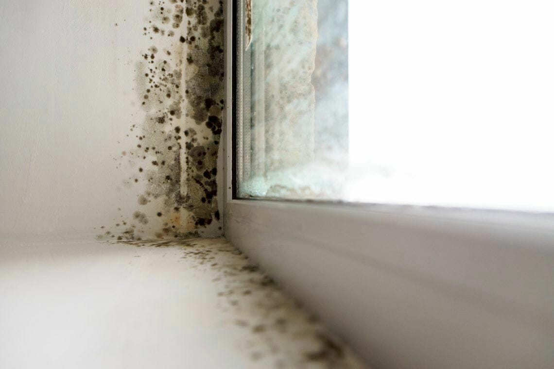 Sleeping in a house with mold