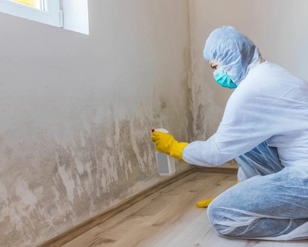Making home with mold safe with remediation