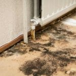 Floor of apartment needing mold removal