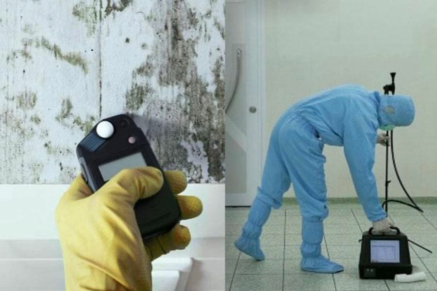 Mold testing by inspector