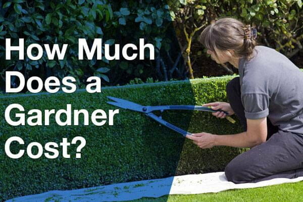 Average Cost Per Hour for A Gardener