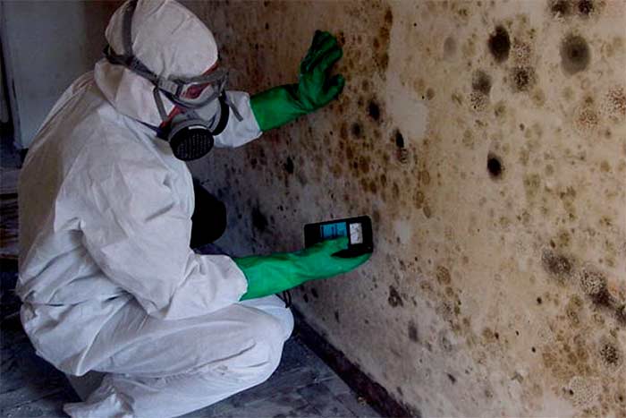 Basement-Mold-Removal-and-Remediation