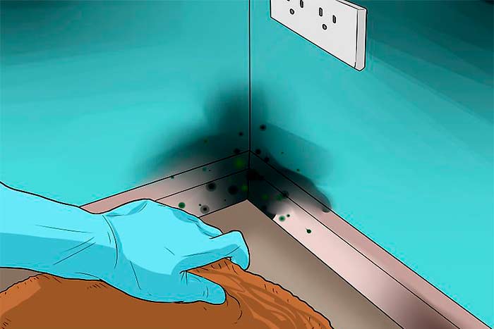 Basement-mold-health-risks-picture-mold-in-the-corner