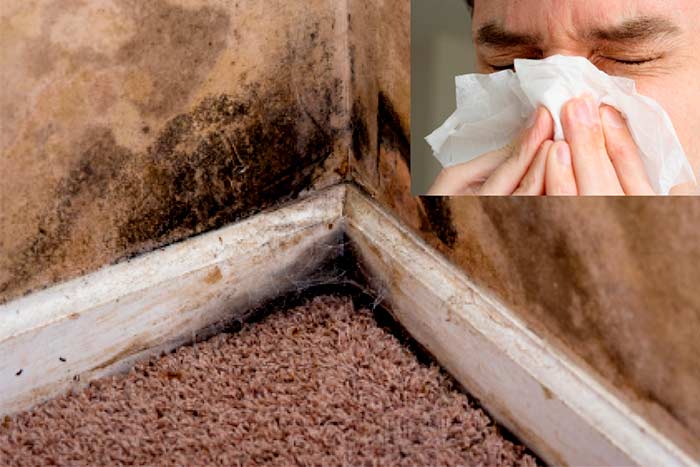 symptoms-of-mold-exposure-and-mold-illness-from-toxic-black-mold