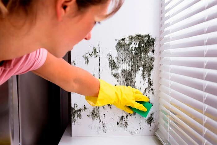 Can-mold-dry-out-and-die-woman-clean-the-mold