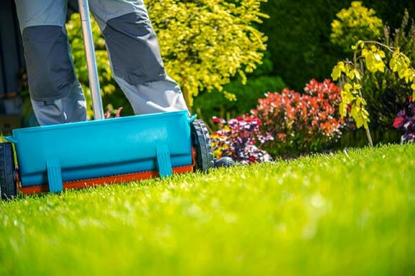 Can you aerate your lawn too much?