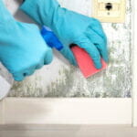 Can you do mold remediation yourself (1)
