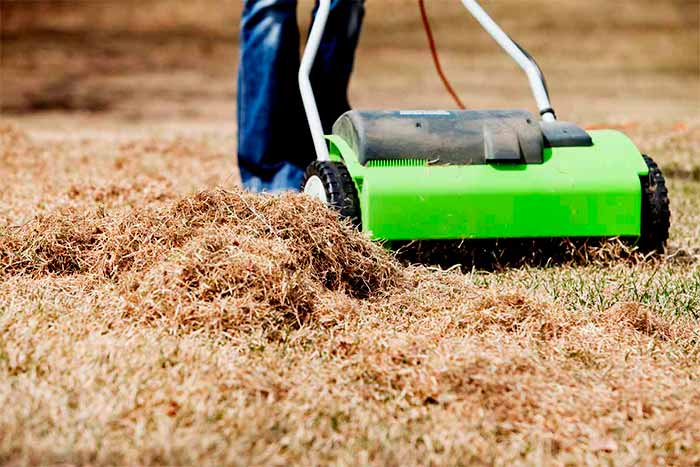 Can you get rid of thatch naturally dry straw