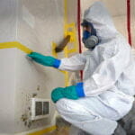 Can you live in a house during mold remediation