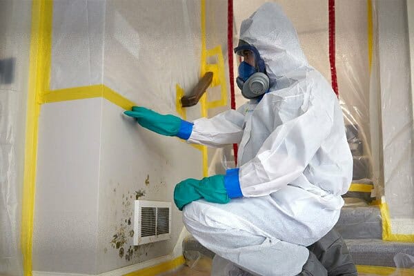 Can you live in a house during mold remediation