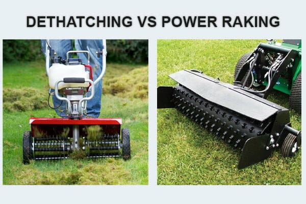 Dethatching Vs Power Raking