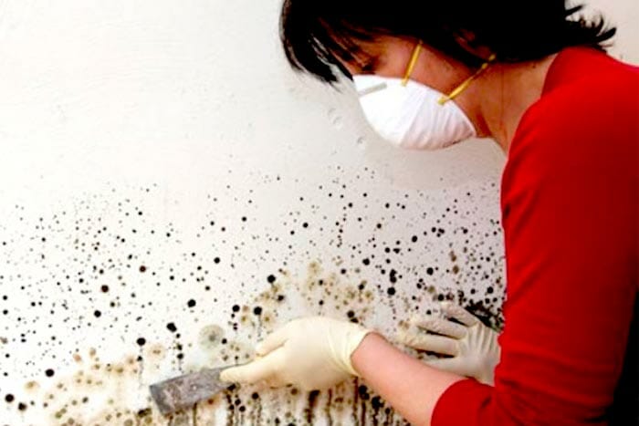 Do-It-Yourself-removal-woman-diy-mold