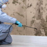 Do you need commercial mold remediation