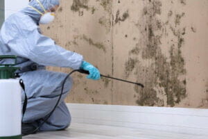 Do you need commercial mold remediation