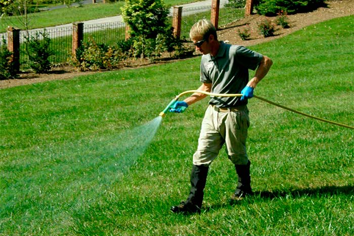 How Often Should I Water Hydroseed man water lawn