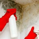 How-does-mold-move-from-basement-to-upstairs-cleaning-the-mold