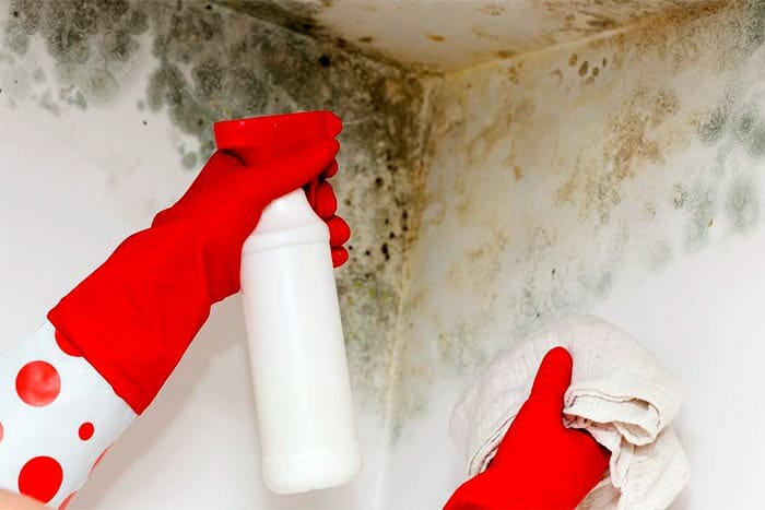 How-does-mold-move-from-basement-to-upstairs-cleaning-the-mold