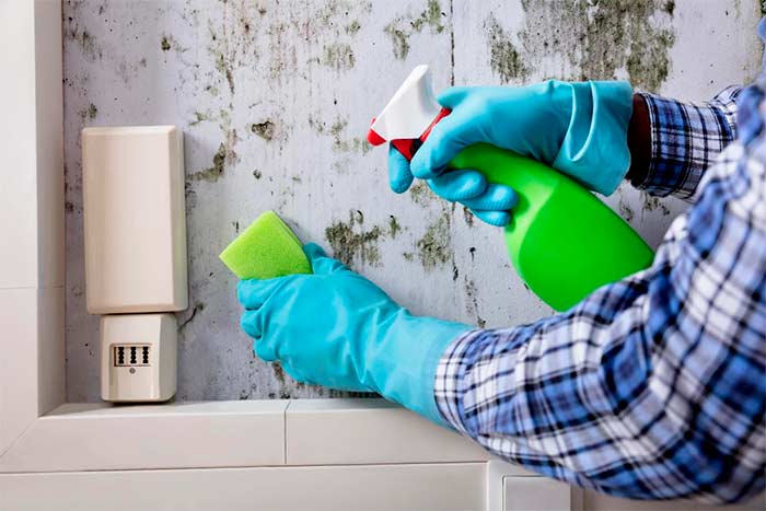 How long does it take to get sick from basement mold cleaning wall