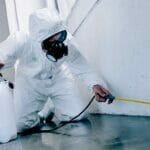 How-much-does-basement-mold-removal-cost-work-in-progress