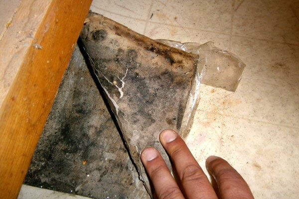 Identify Mold Sources and Plan Repairs