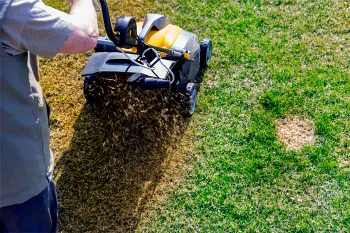 Is it better to dethatch or aerate lawns clean the lawn