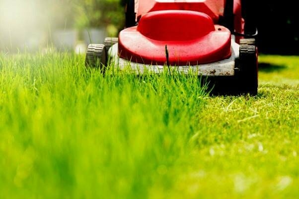 Is it ok to cut your grass in hot weather