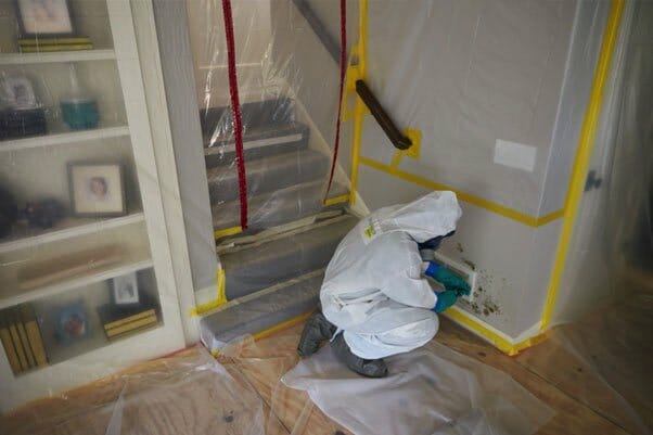 Is it safe to live in a house during mold remediation (1)