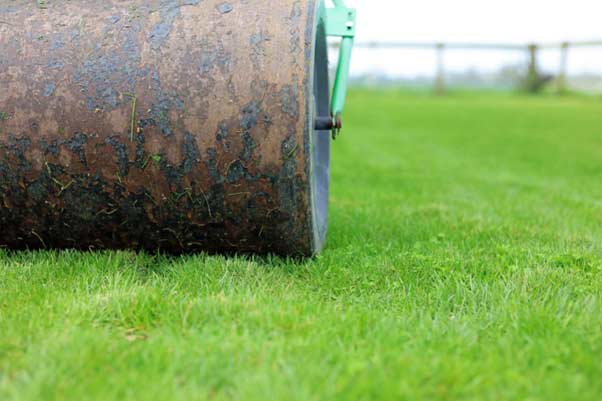 Is rolling your lawn good or bad