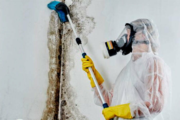Level-5-Mold-Remediation-prof-cleaning