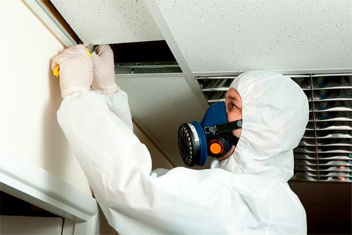 Free Mold Inspection & Testing Near Me | 2021 Guide