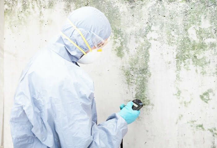 Mold Inspection and Testing