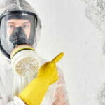 Mold-Remediation-Really