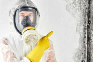 Mold-Remediation-Really