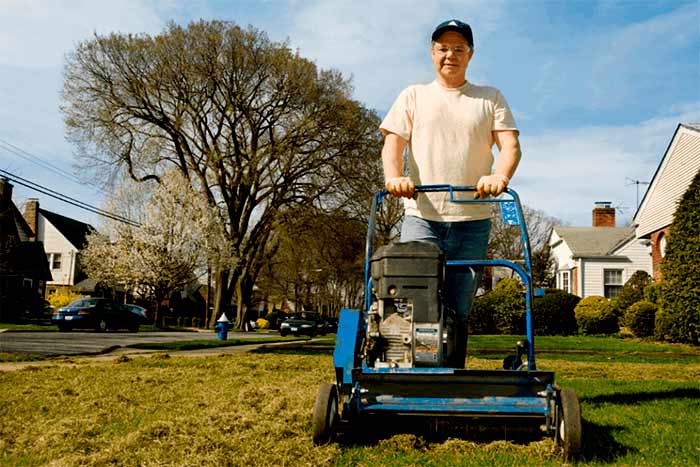 Signs a lawn needs dethatching mow the lawn