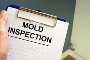 Start with A Comprehensive Mold Inspection