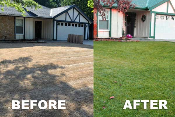 What are the benefits of lawn aeration