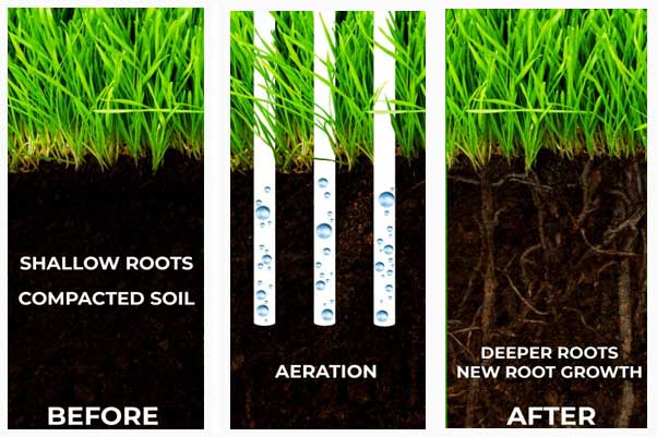 What does aeration actually do for your lawn?