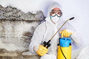 What-does-mold-removal-cost-worker-with-mold-removal