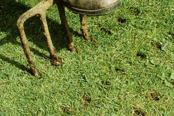What is lawn aeration