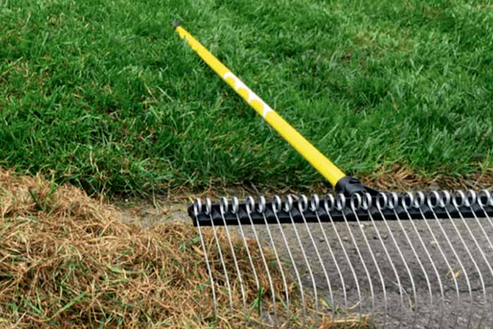 What is the best time of year to dethatch rake on the lawn