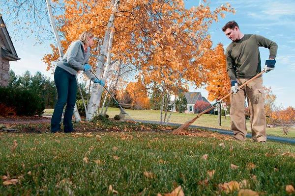 Why You Should Aerate Your Lawn