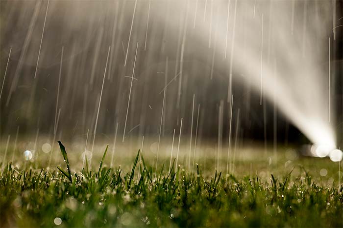 Will Rain Wash Away Hydroseed lawn under rain