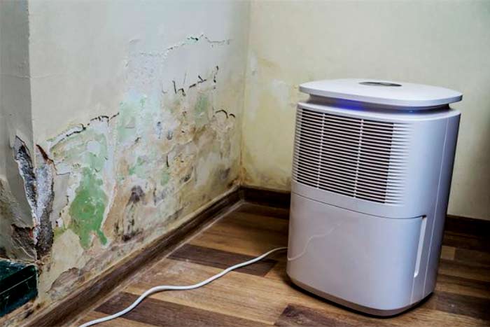 Will-a-dehumidifier-help-get-rid-of-basement-mold-dehumidifier-next-to-the-wall