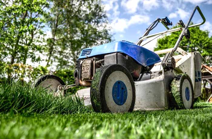 Preparing your lawn for overseeding by mowing