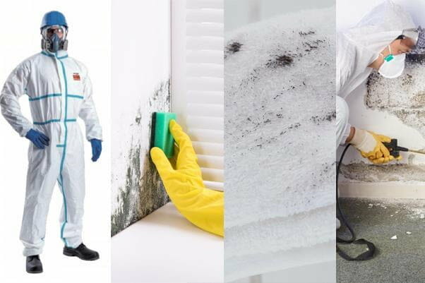 step guide getting rid of mold yourself