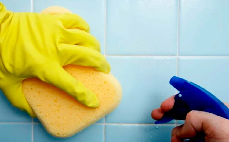 Bathroom mold removal cost
